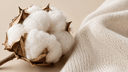 Capulho de algodão orgânico aberto ao lado de uma malha knit off-white