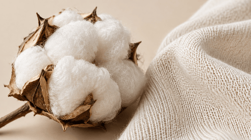 Capulho de algodão orgânico aberto ao lado de uma malha knit off-white