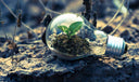 Impacto ambiental positivo: saiba o que é e como favorece a sustentabilidade