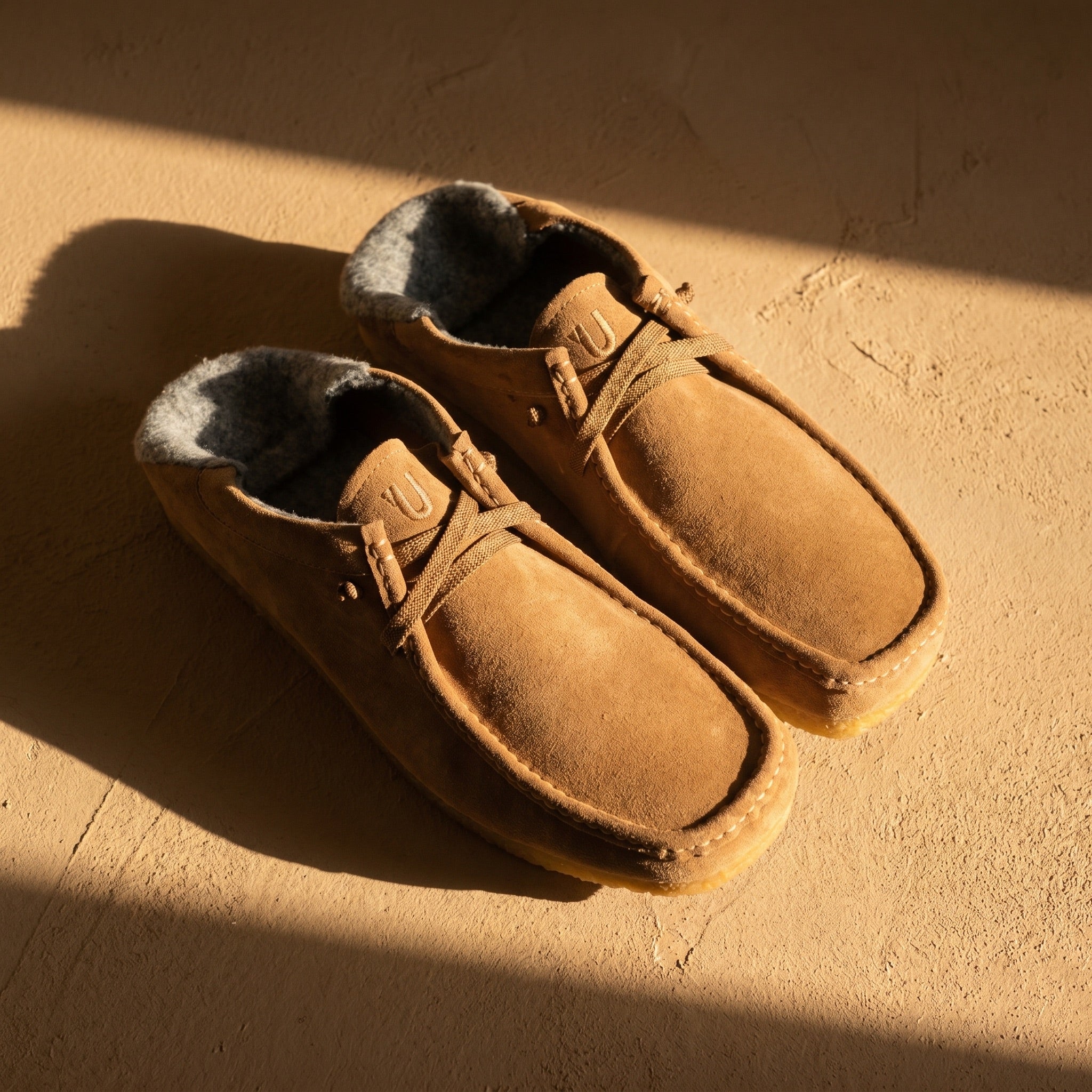 YUOOL NOMAD CASTAGNA